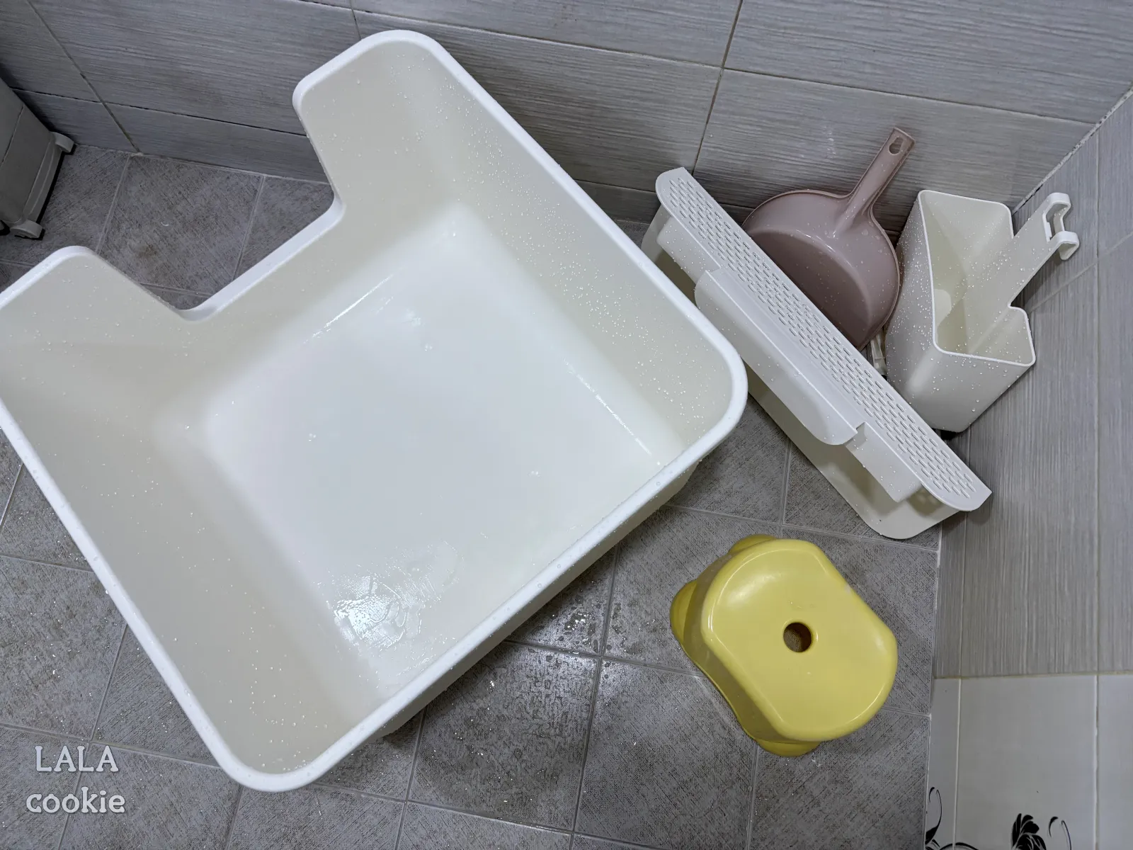 고양이-화장실-청소-한-뒤-깨끗한-모습