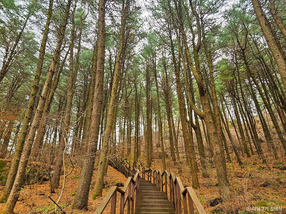 평창 가볼만한곳 베스트10