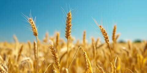 농지연금 신청방법 가입조건 수령액 계산