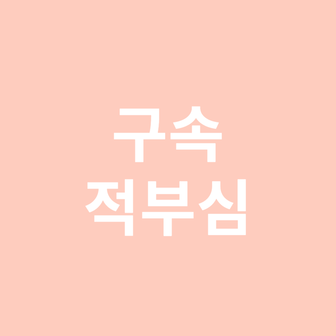 구속적부심