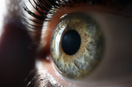 녹내장 초기증상, 실명 확률, 원인 총정리 (2024ver)