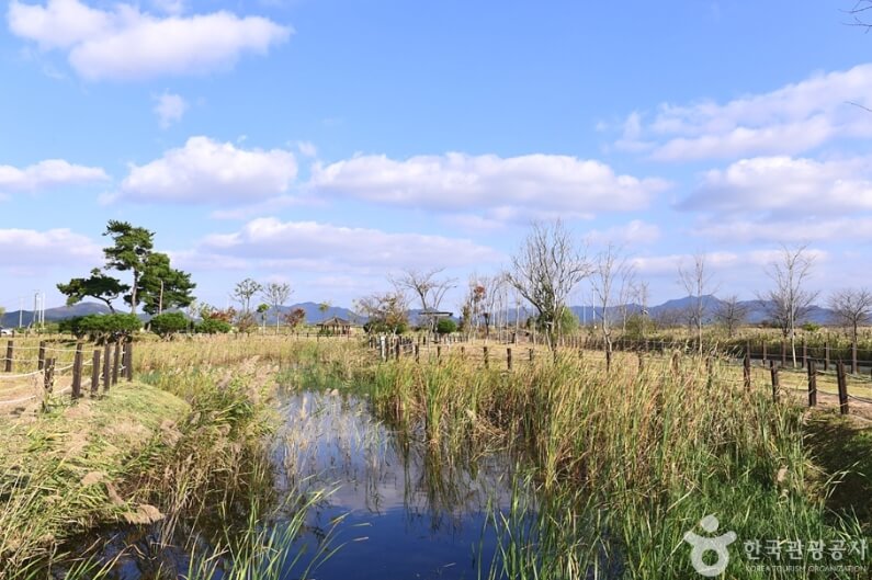 영암 가볼만한곳 베스트 10