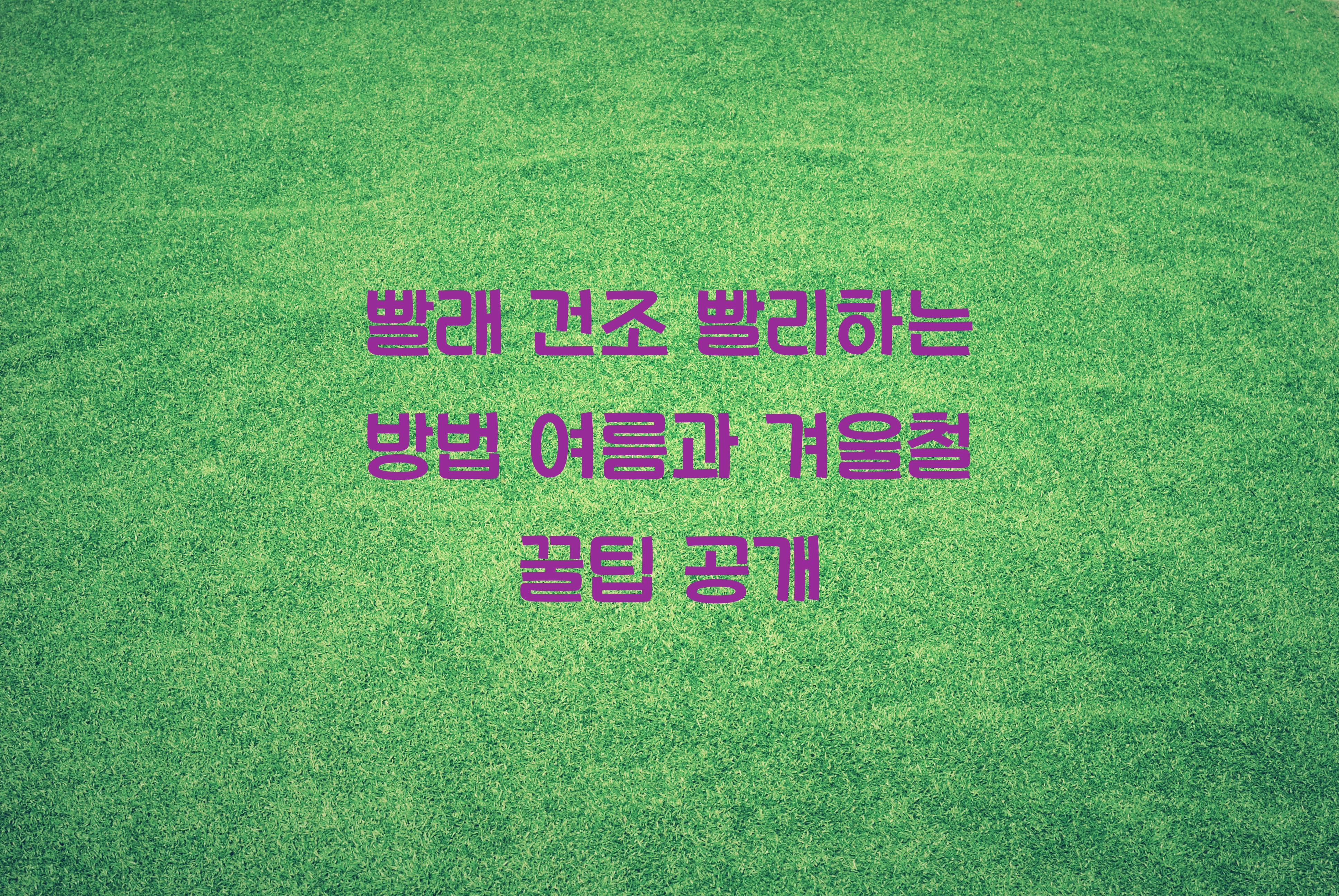 빨래 건조 빨리하는 방법