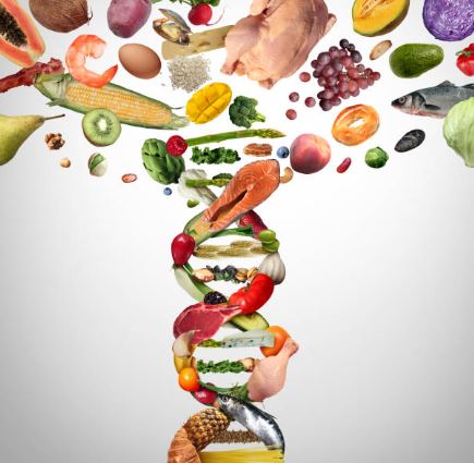 유전자-재조합-식품