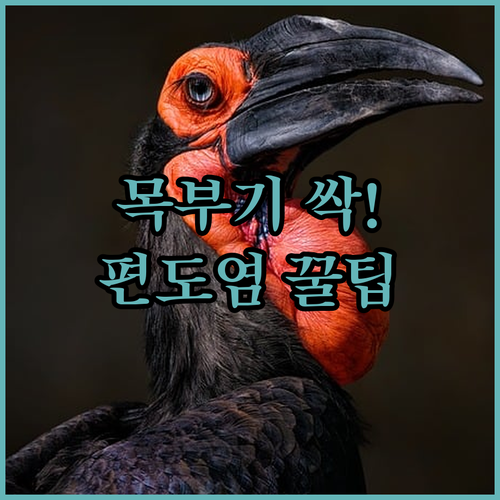 갑작스러운 목 부기 가라앉히는 편도염..