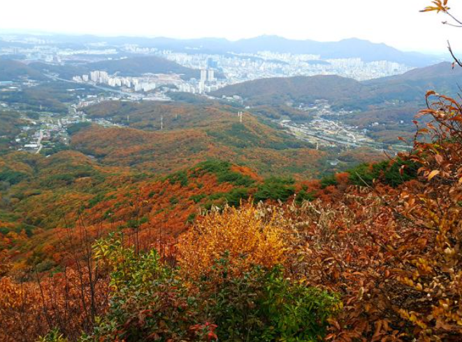 2025 경기도 단풍 명산 BEST ❘ 북한산·남한산성·광교산 등 추천 코스