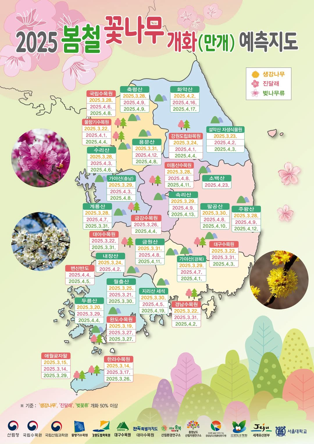 추천 봄꽃 여행지 베스트6
