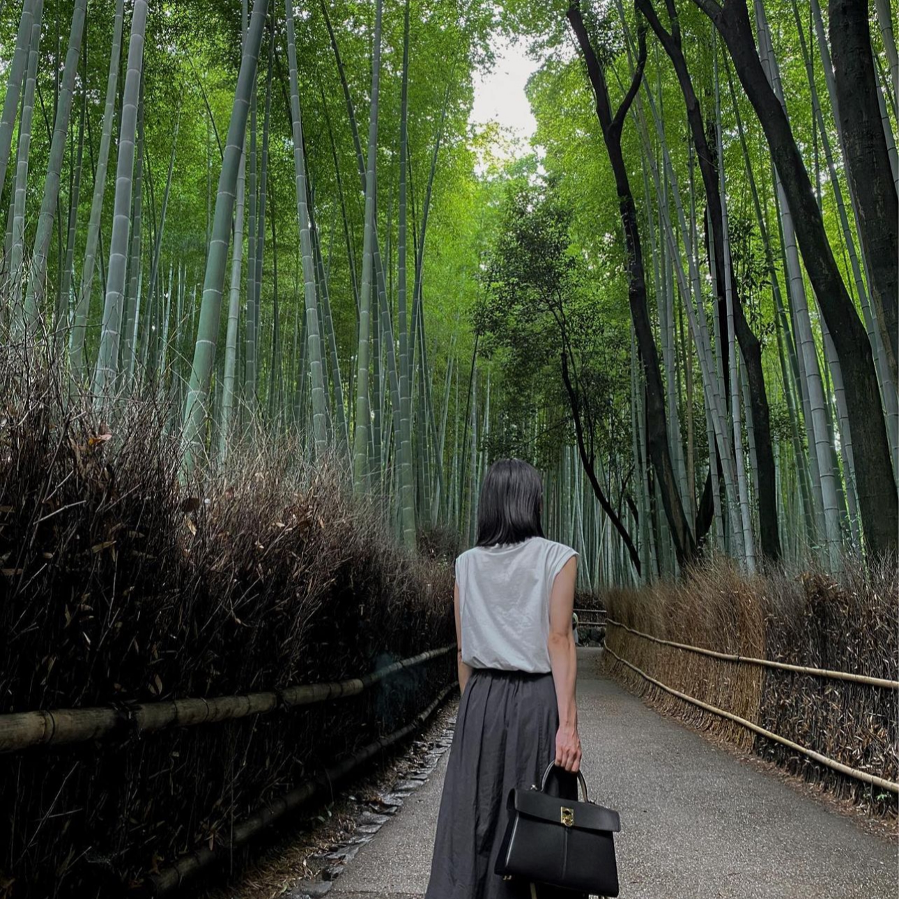 교토당일치기코스 004