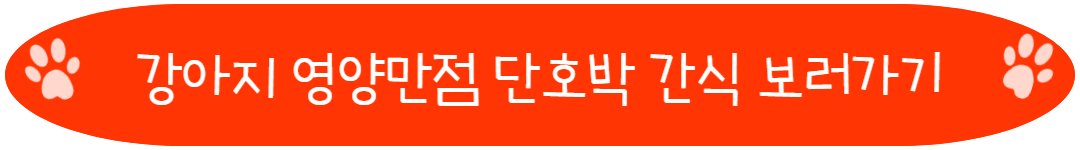 강아지 영양만점 단호박 간식