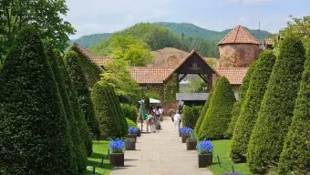 제이드가든 수목원 입장료 셔틀버스 맛집_19