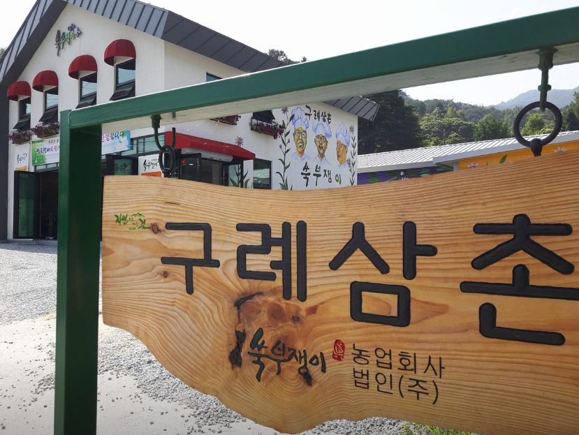쑥부쟁이 카페