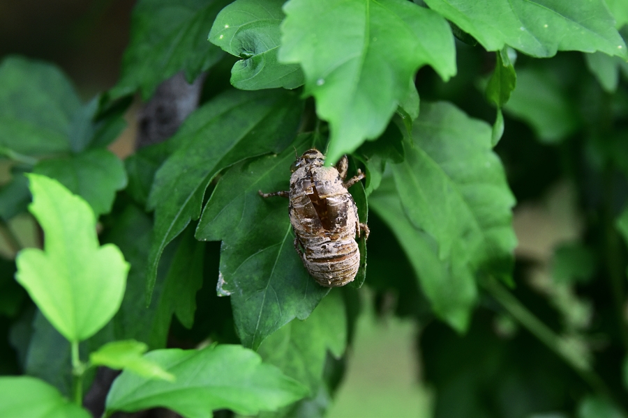 주일 대표 기도문 7월 둘째 주