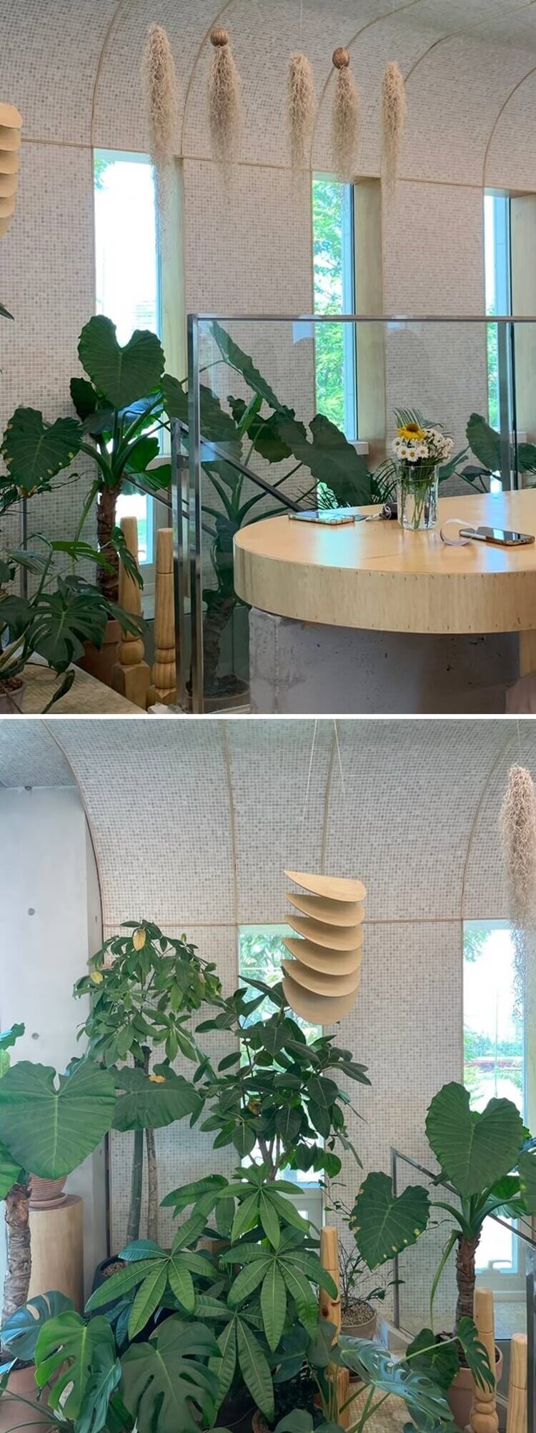 편안한 분위기를 위한 식물로 꾸며 놓은 내부