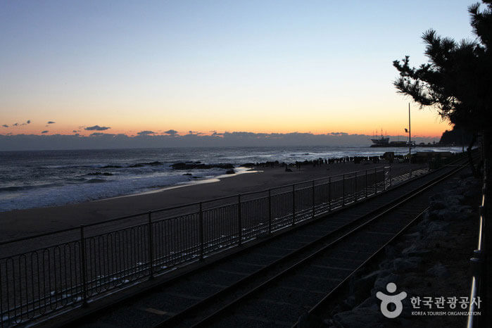 정동진 일출사진 