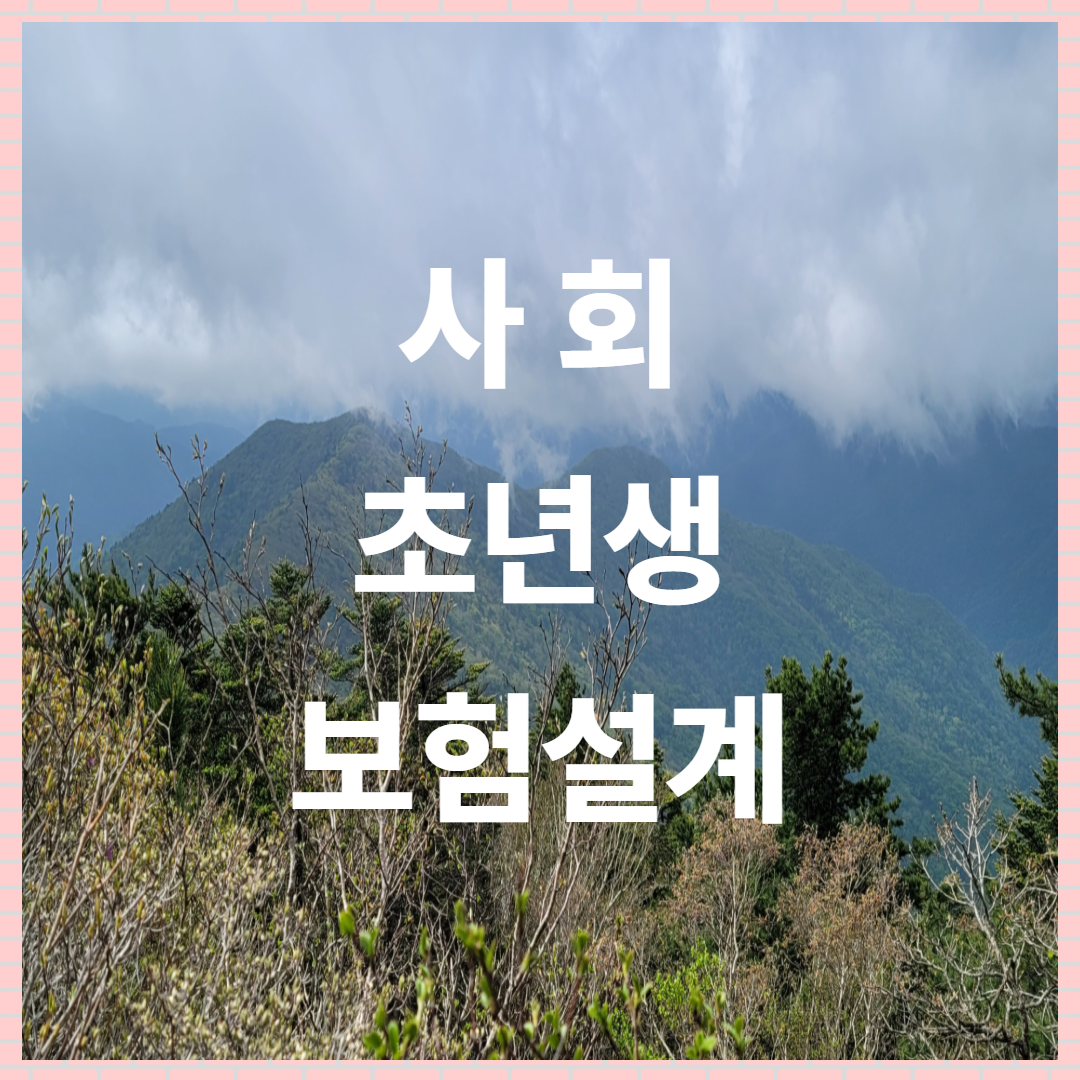 사회 초년생을 위한 보험 설계