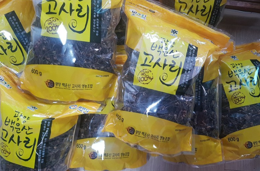 광양 백운산 건고사리