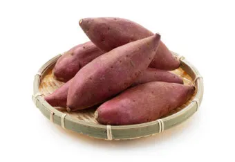 고구마 심는시기 키우는 법_31