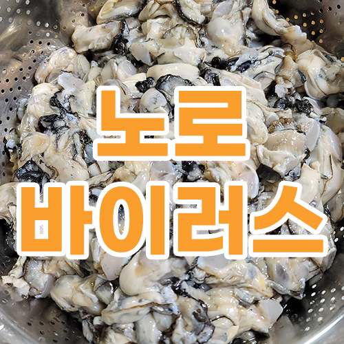 노로바이러스