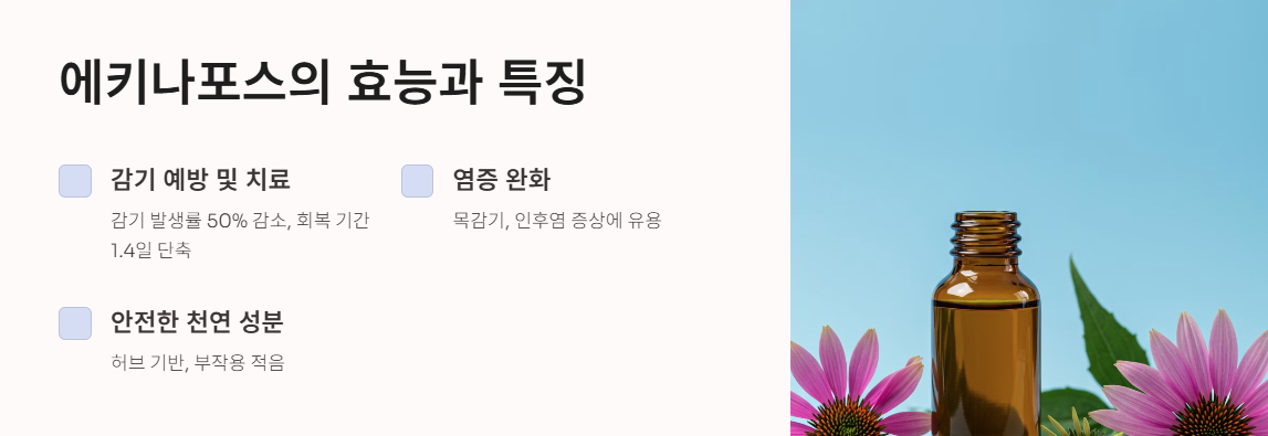 에키나포스 효능과 특징