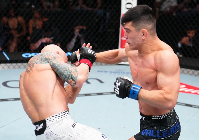 UFC Fight Night 269