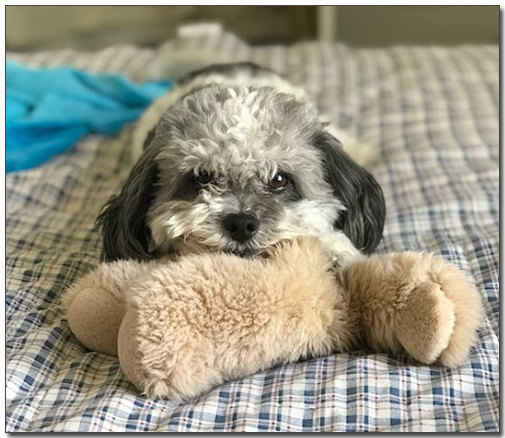 ์ธํ์ ๋ฌผ๊ณ ์๋ ์์ธ