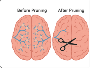 망각의 과정 후에 중요한 기억만 남아 있는 뇌의 신경 일러스트