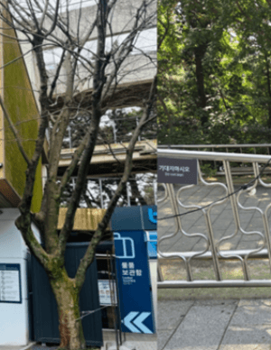 태종대 다누비열차 시간, 요금, 주차장