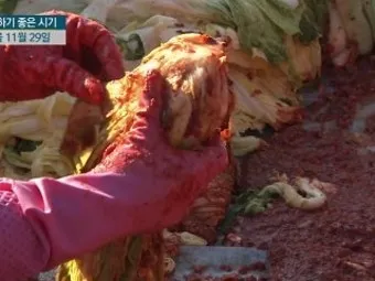 김장 적정 기온 절임 배추 보관 통풍 위치 점검_16