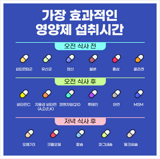 각 영양제 섭취시간 안내표