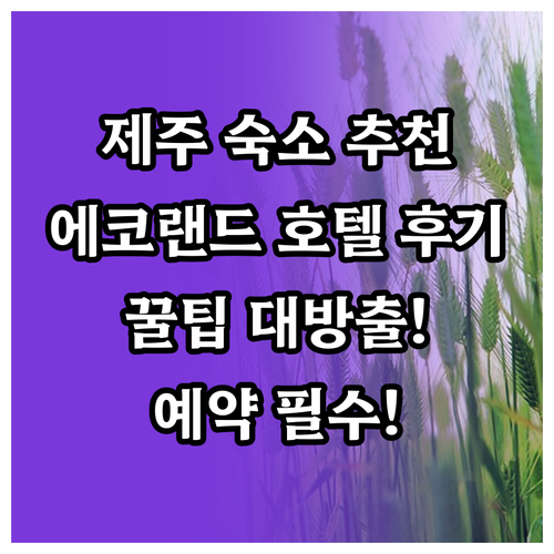 제주 숙소 고민 끝! 에코랜드 호텔 