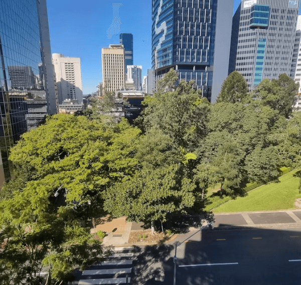 호주 워킹홀리데이 완벽 가이드: 비자부터 정착까지