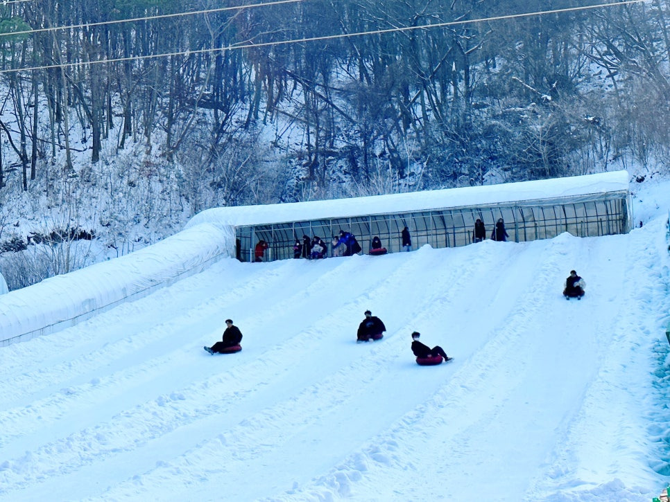청양 알프스마을