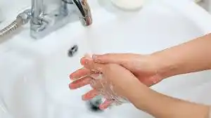 손씻기