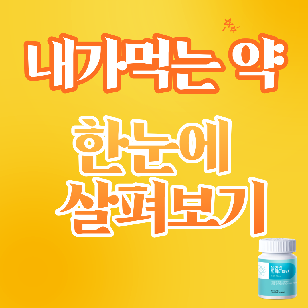 내가먹는약 한눈에 서비스