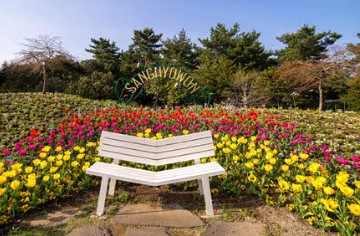 상효원