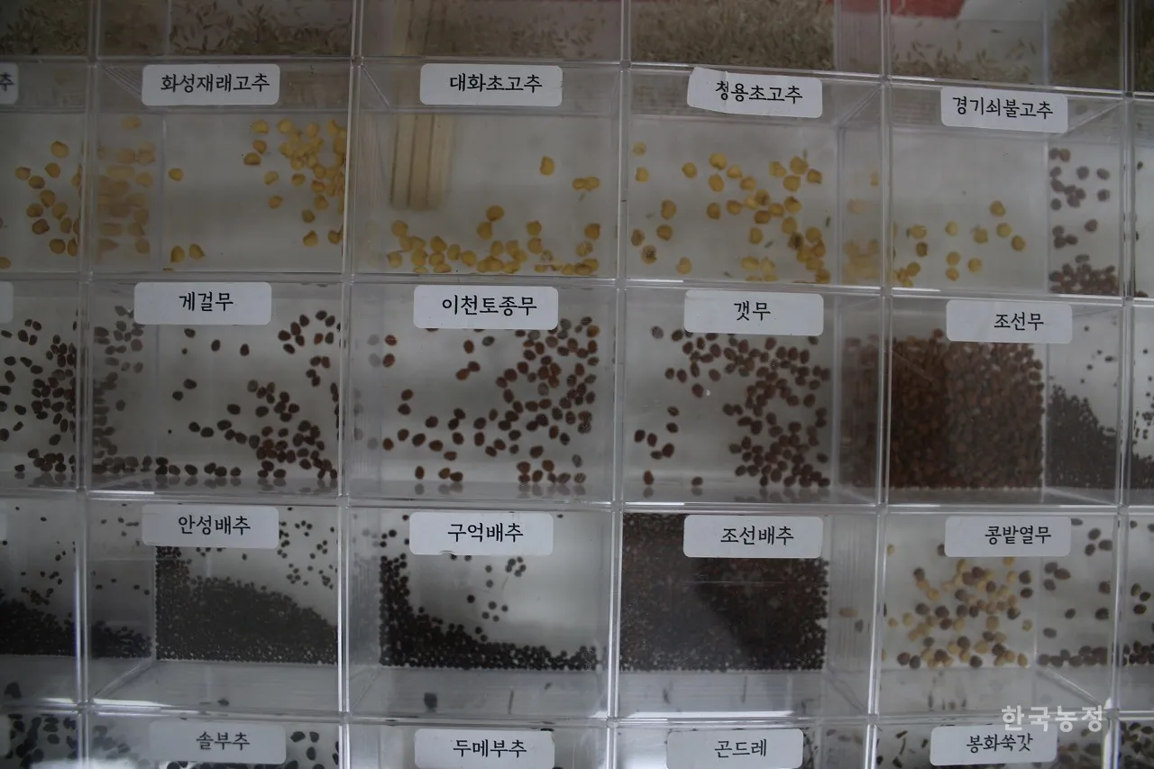 씨앗 저장법 건조 저온 밀봉 발아율 유지 교체 주기_4