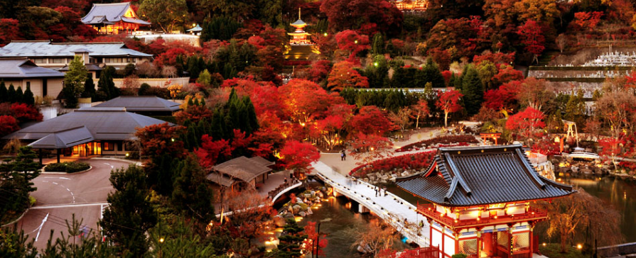 오사카 & 교토 단풍 여행장소 추천 BEST 08 일본 단풍시기 실시간 지도 2022