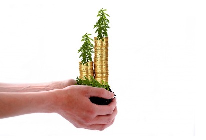 디딤돌 대출 한도 축소(수도권): 오락가락 정책 시장 혼란