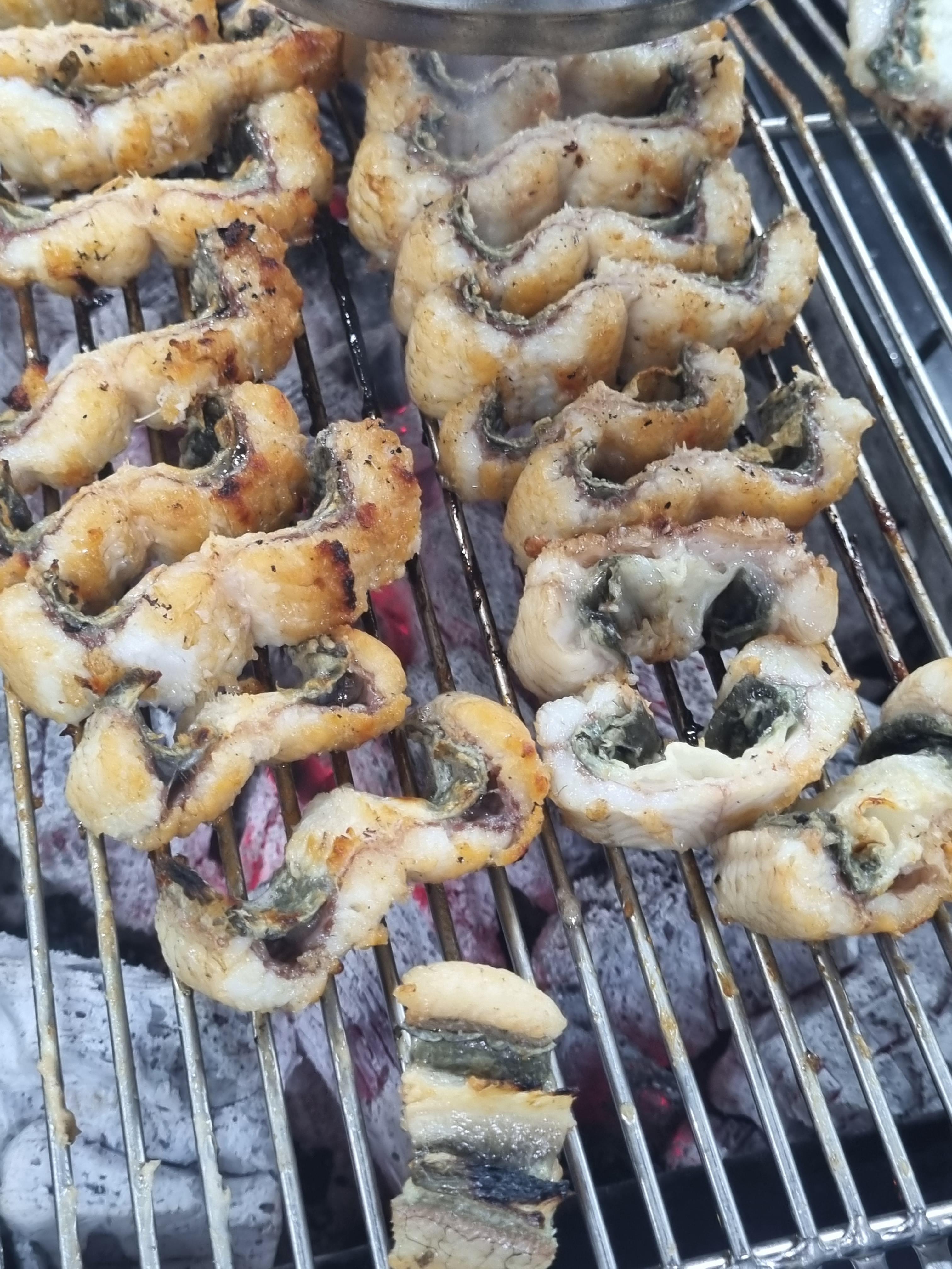 진두강민물장어