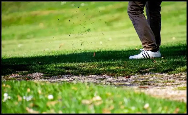 파크골프 용어 정리 (+ 해설 )