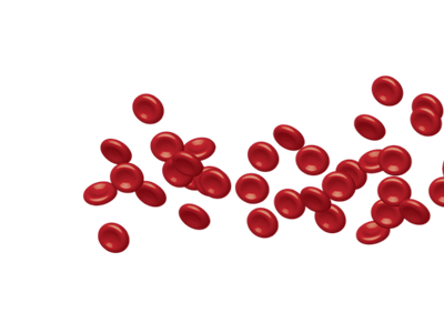 루테인 관련 사진4