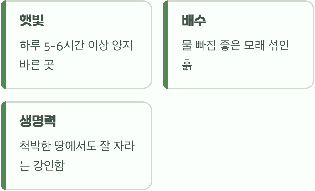 2. 우리 집 '수호초'를 위한 최고의 명당