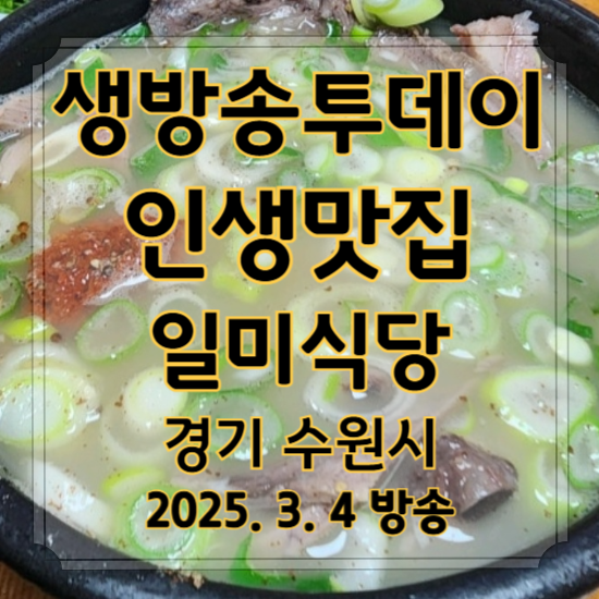 생방송 투데이 인생맛집