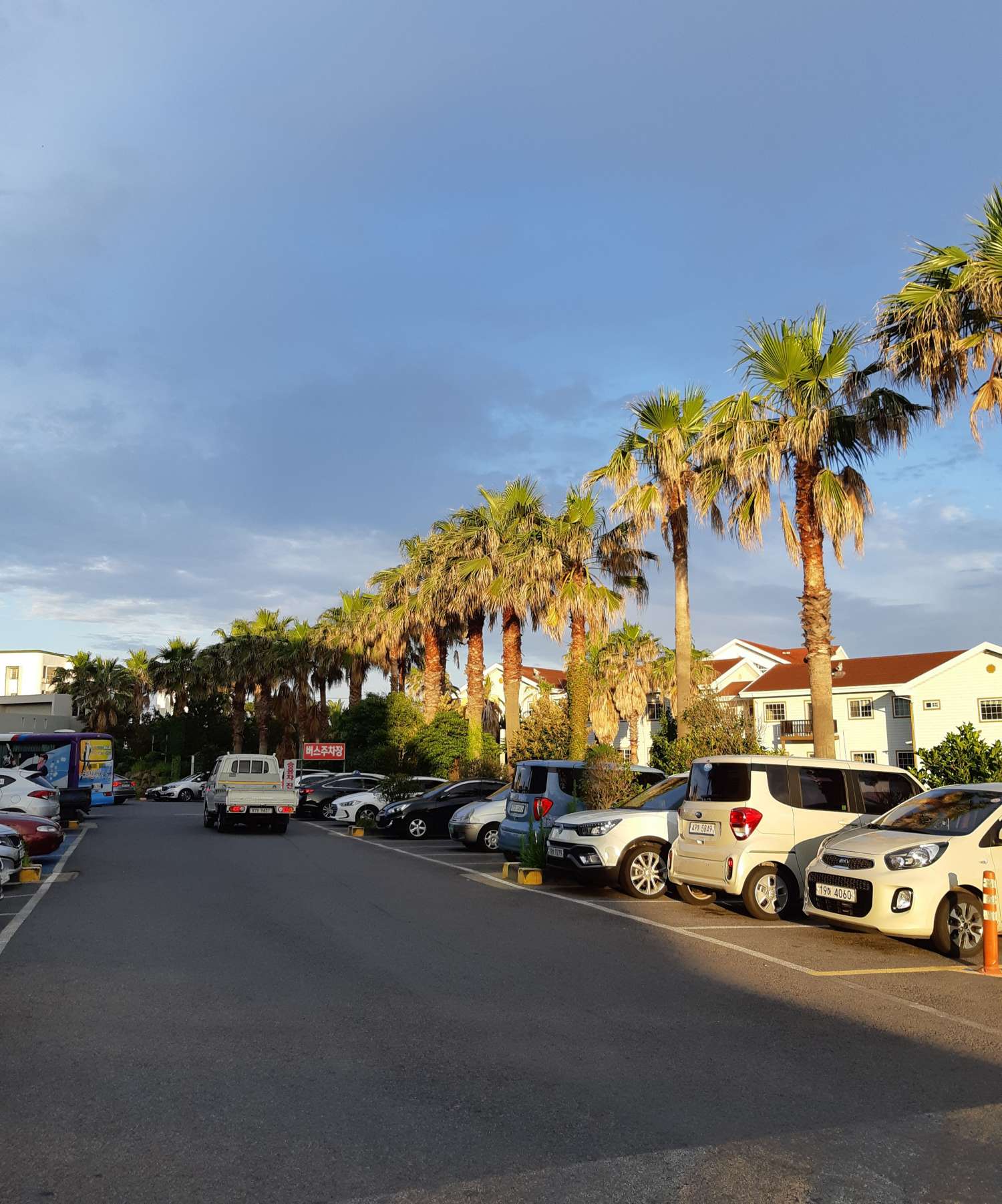 제주 숙소앞 주차장