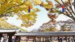 한국민속촌