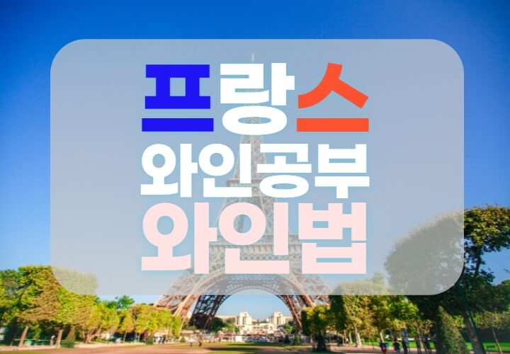 프랑스-와인법-포스팅