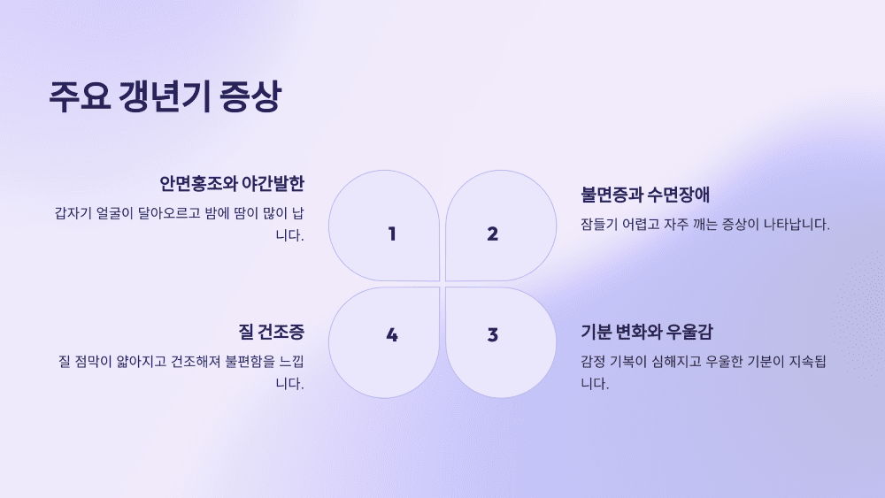 주요 갱년기 증상