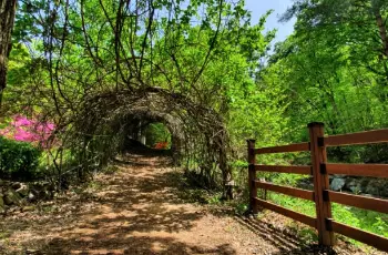 장령산 자연휴양림_5