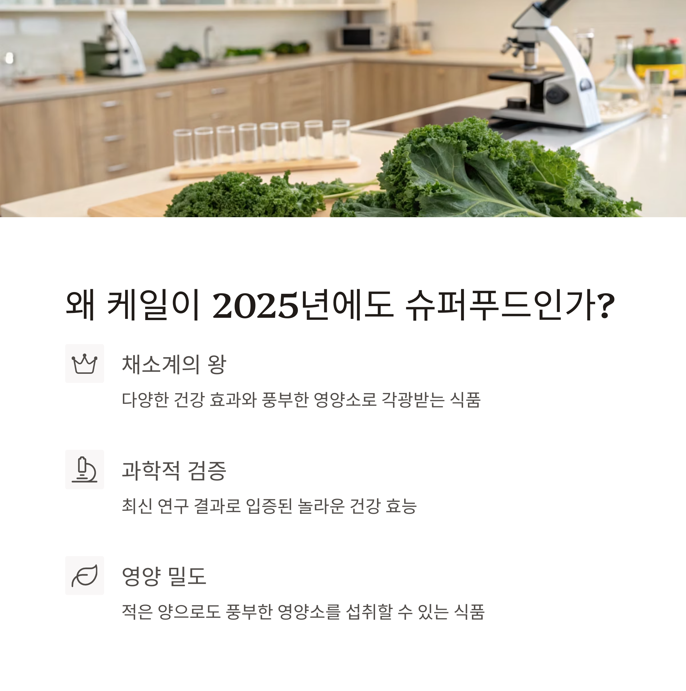 항산화식품