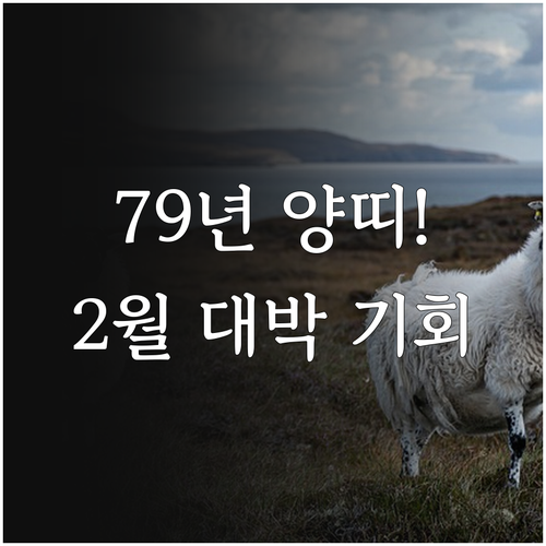 1979년생 양띠 2월 운세 분석 및..